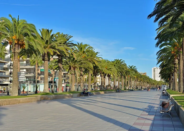 酒店 黄金海岸索尔酒店 4*