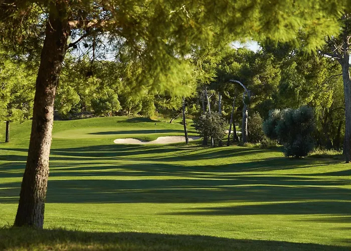 黄金海岸索尔酒店 酒店